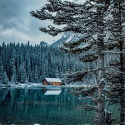 Cabin in the Snow   Hi Res   A3